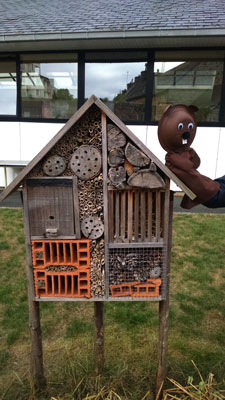 Notre jardin avec l'hôtel à insectes