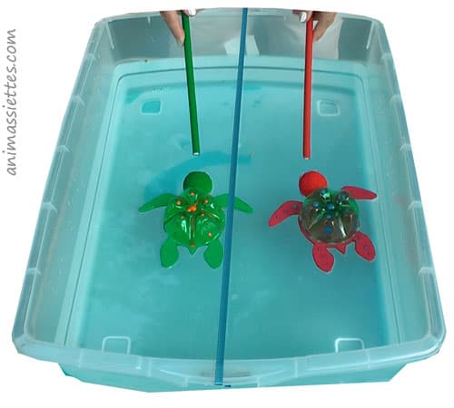 Course de tortues avec des aimants